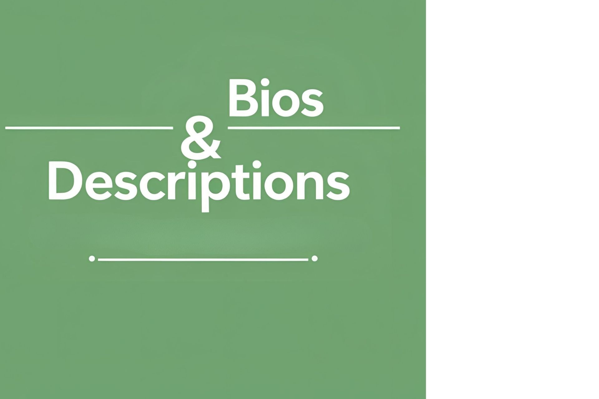 Celebrity bio writing service